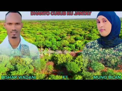 KU JANTAH JAHA QURUXON DHAANTO CUSUB ABWAAN BISHAAR WADANI IYO MUNA BILAN NEW VIDEO 2026