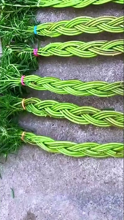 Cara Menanam Bonsai Krokot kepang mudah banget, pencinta bunga wajib coba ini part 3