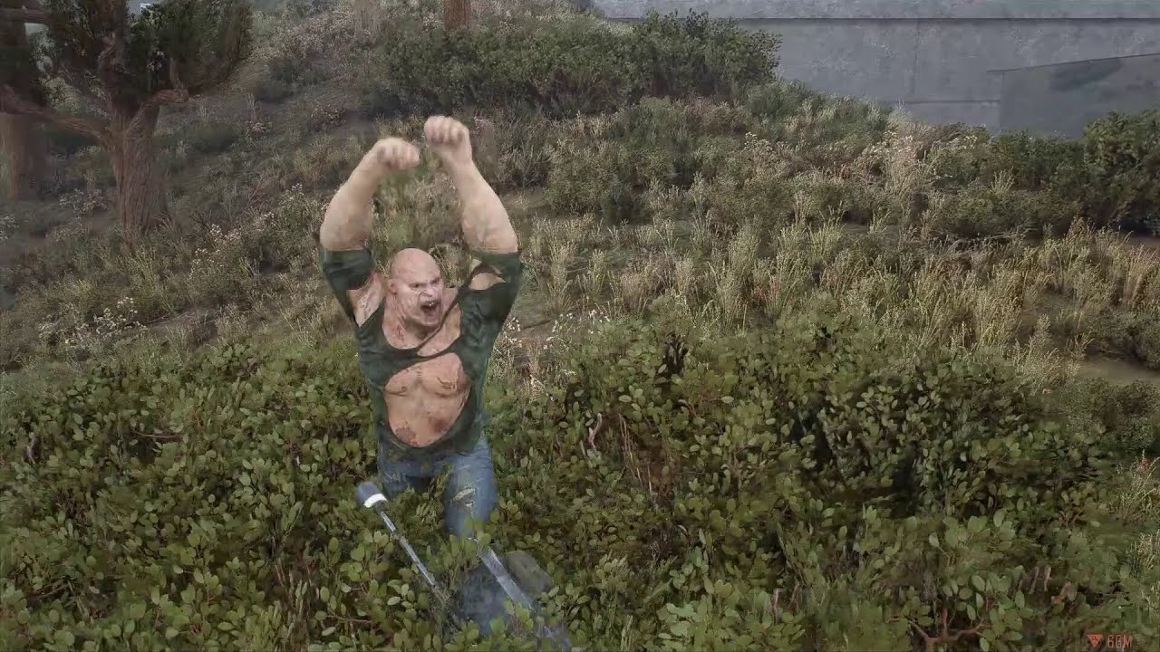 Смог геймс. Смог геймс