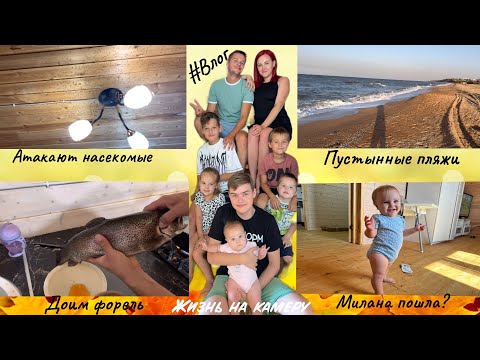 Приготовили вкусную форель, боролись с комарами и много интересного! Приятного просмотра❤️