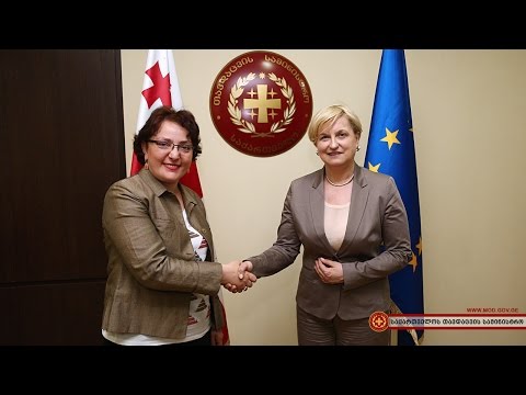 თავდაცვის მინისტრის შეხვედრა ევროპარლამენტის დელეგაციასთან