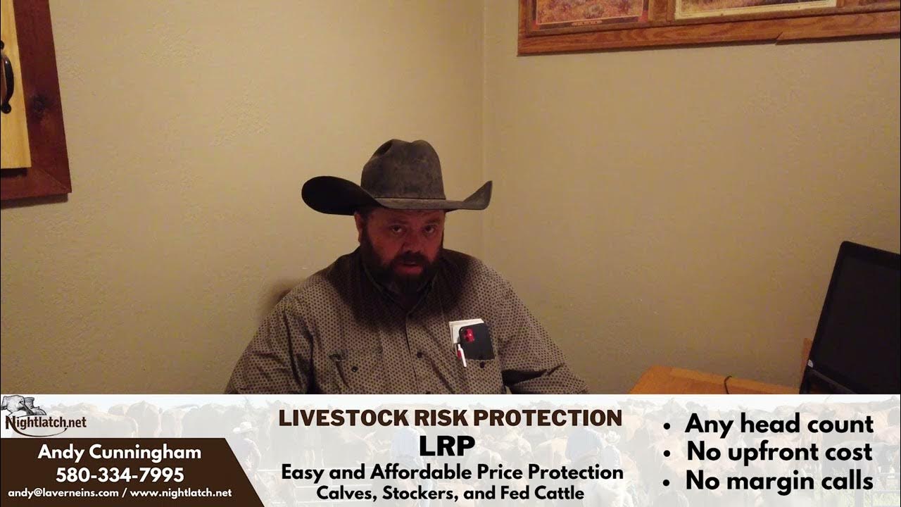 5/31/23 Cattle Market Report Beaver County Stockyards YouTube