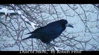 Full Dust of Snow, by Robert Frost Update