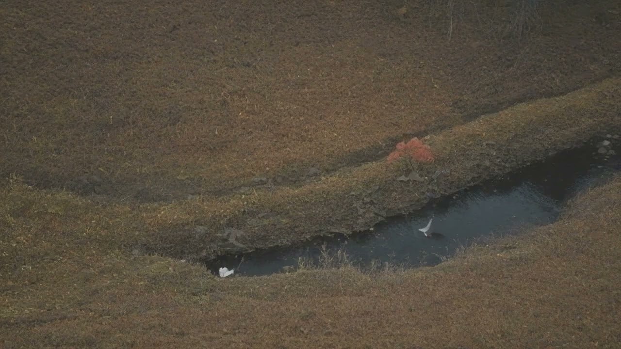 Zen Sounds Midnight Echoes 047