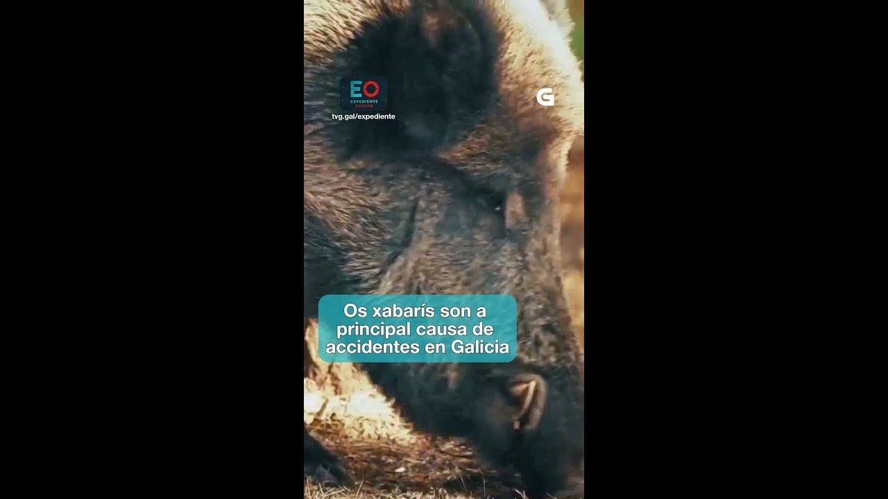 Cando foi a última vez que viches un xabaril?