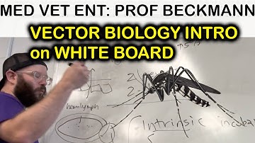 Vector Biology - 101 - white board talk