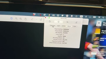 How to find a Nikon DSLR shutter count on a Mac Super Easy.