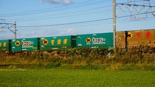 JR貨物 2014/11/15 貨物列車5072レ 綺麗な編成・新旧ネコロジー他