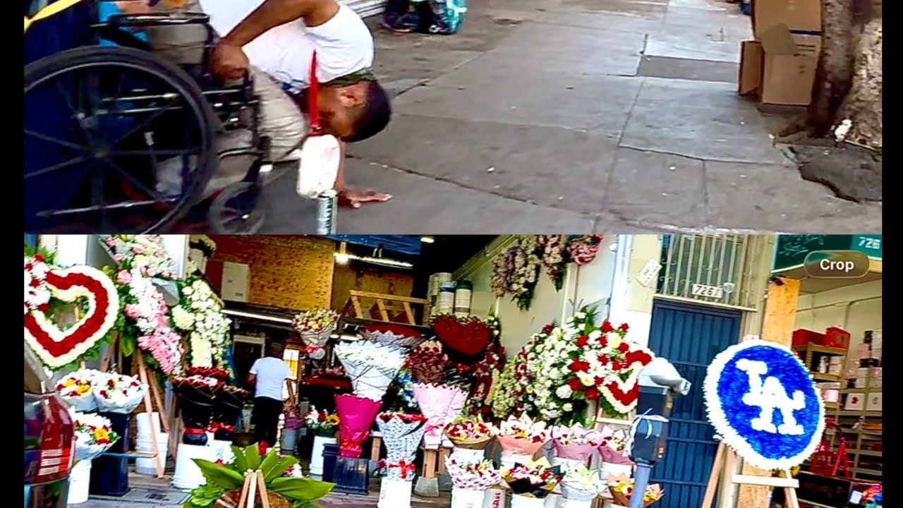 Отличное местоположение в районе Скид-Роу, Фентанил-стрит и Цветочный квартал. Прекрасный запах! ...