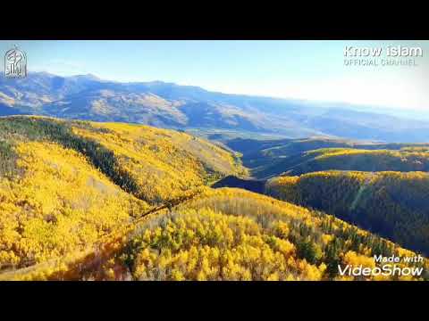 الناس تهجرني لعيب واحد والله يقبلني علي علاتي اداء خاص يخلع القلوب