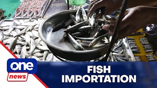BFAR defends gov’t decision to import fish