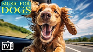Dog TV & Dog Music: Best Fun Entertainment for Bored Dogs - Anti Anxiety with Music for Dogs - NEW