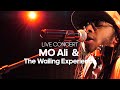 Mo Ali & The Wailing Experience   Bob Marley & The Wailers Tribute Live Rotterdam