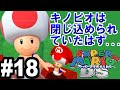 【実況】なぜか動けたキノピオ！？ - スーパーマリオ64DS実況プレイ#18