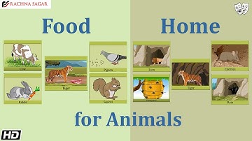 Rachna Sagar| Together with Be a Scientist for Class 1 | Chapter : Food and Home for Animals