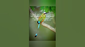 إسلام صبحي ما تيسر من سورة لقمان