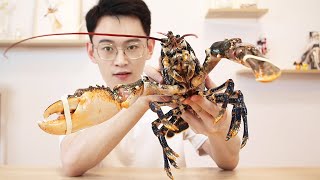 [Singular Little North] More than 600 blue lobsters, the feeling of lobster meat stuffed with mouth!