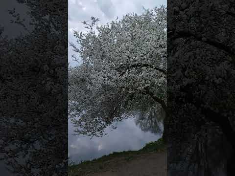 Закат / вечер