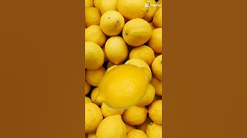 Lemon #asmr #shorts #amazing #trending #viral #satisfying #youtubeshorts #shortvideo #youtube #short
