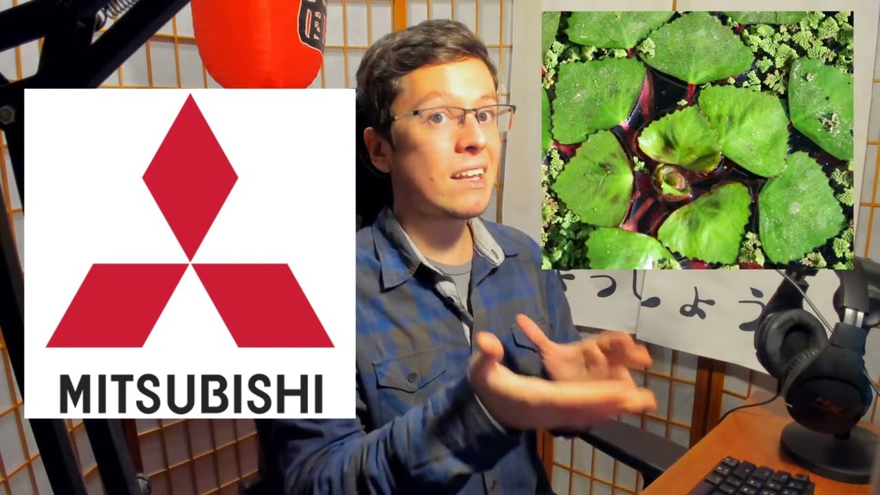 ¡El logo de Mitsubishi significa algo muy curioso en Japonés!