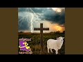 Feed my Sheep