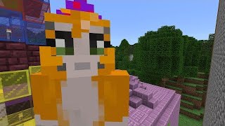 Celebrity Minecraft PS4 - Coffee Shop (443) Net Worth