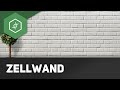 Zellwand