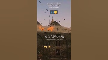 سورة روعه 💚🎧بصوت الشيخ عبد الرحمن مسعد||سورة العاديات #quran