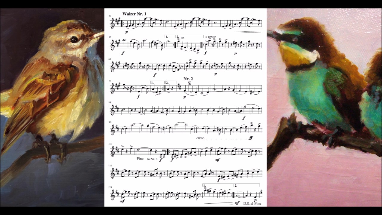 Natursänger, Walzer, Op.415 - Carl Michael Ziehrer (Sheet Music + DL)