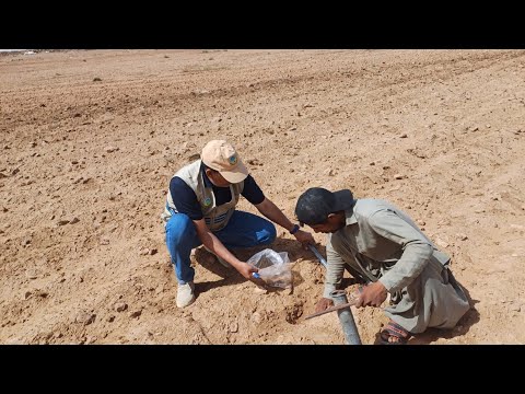 تبريد البيوت المحمية اكسبلور زراعت   خيل   