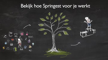 Springest - Hoe werkt Springest voor jou?