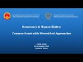 Webinar democracy  human rights common goals with diversified approaches