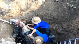 MUST SEE!! Amish Horses Stuck In 15ft Well!!! Can we save their lives????