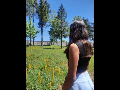 Junto à Terra