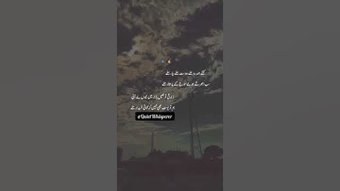 Introvert Thoughts|Feelings #peace #shortsfeed #introvert