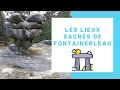Visite des lieux sacres de la foret de fontainebleau les gorges de franchard