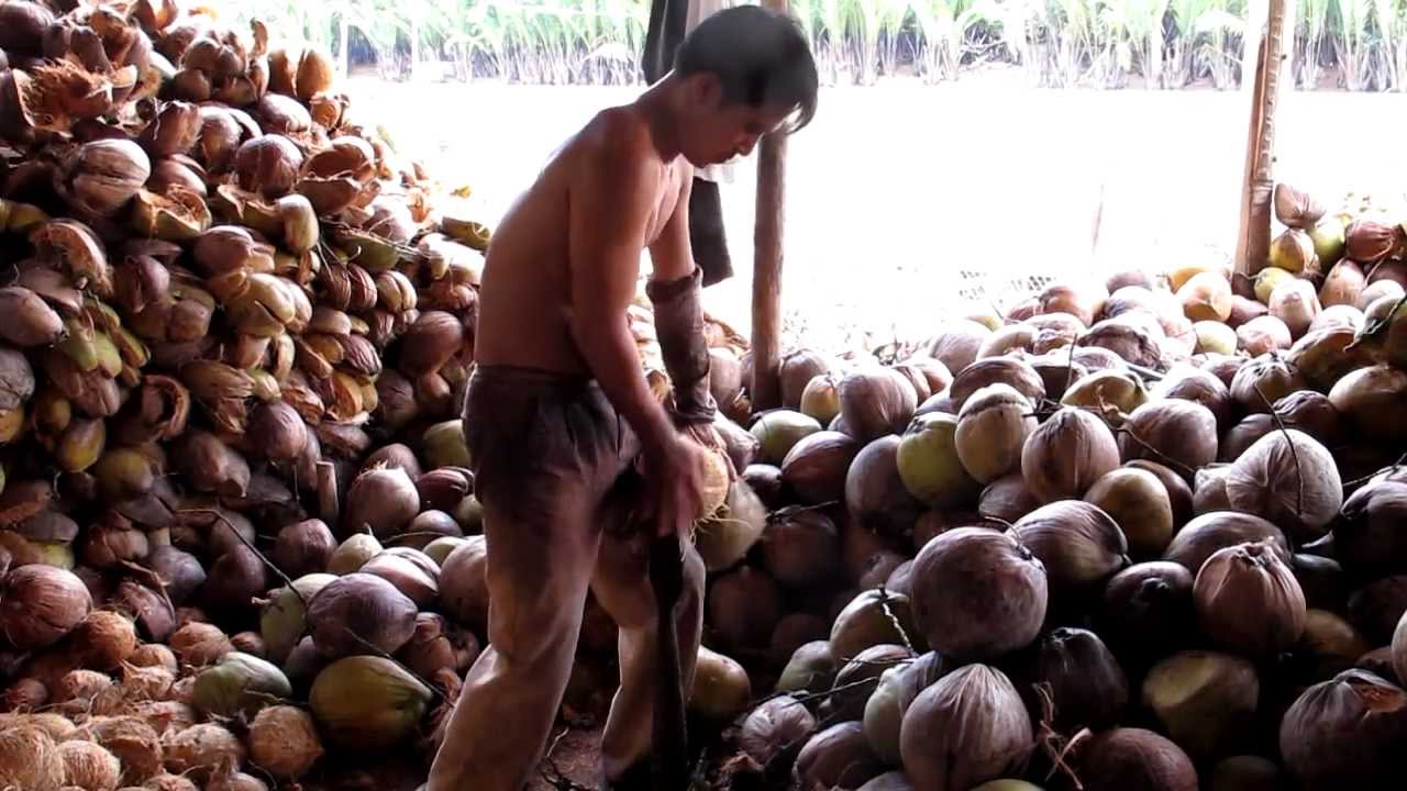 How to peel a coconut in 6 seconds, and 1000 coconuts in one day