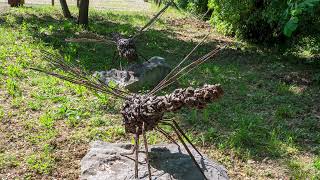 Le libellule del Quarin