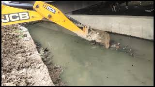 Canal Cleaning Using Jcb !!