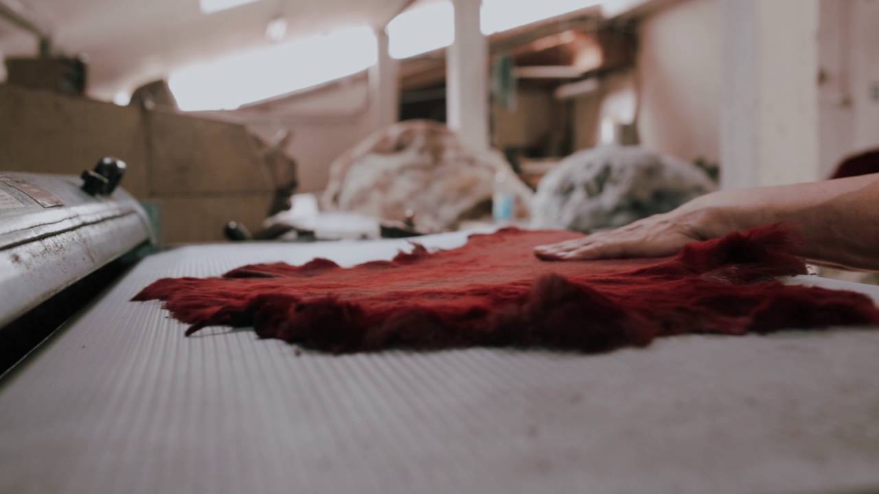 Ariela Sebis - clip de prezentare