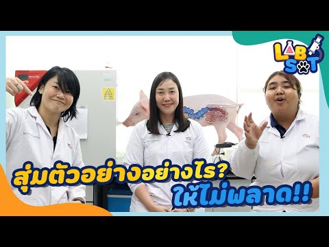 วีดีโอ: อะไรทำให้เกิดข้อผิดพลาดในการไม่สุ่มตัวอย่าง