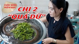 Nam Việt 740: Con Lịch - Lươn Nấu Canh Chua lá me