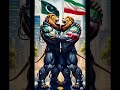 Pakistan supports Iran 🇵🇰🇮🇷.