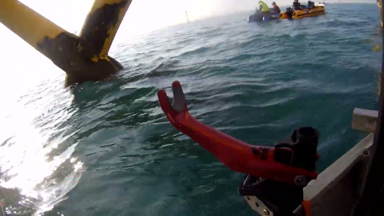 2026 0215 084249 012 內黃雞1