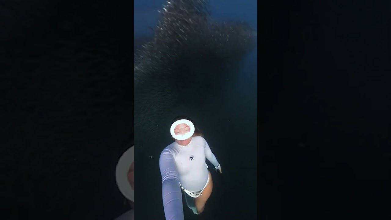 Freediver divides massive school of fish as they swim above her head #Shorts