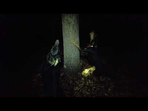 JJ Lawhorn - "Treed" - The Huntsman II" - Official Video
