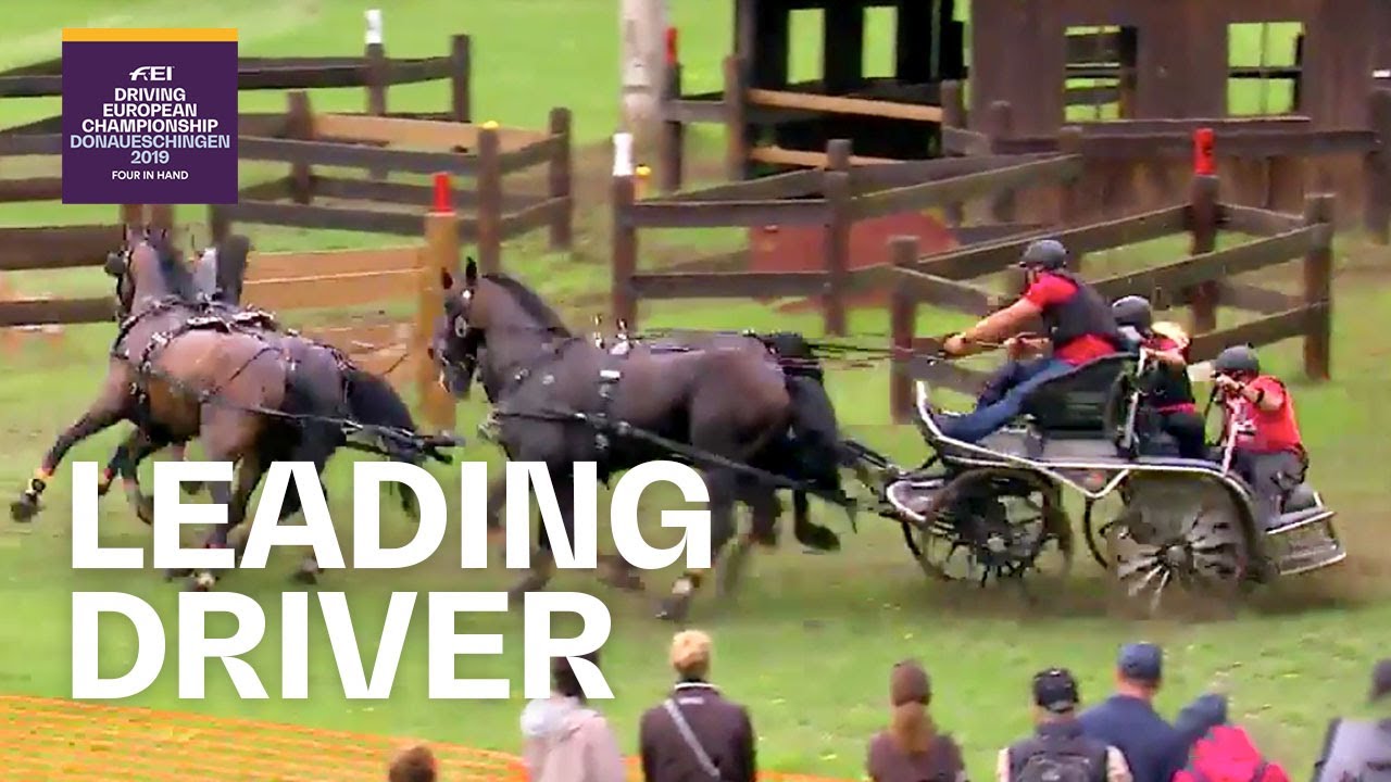 Brauchle dominates ahead of the final Driving competition | FEI Driving European Championships