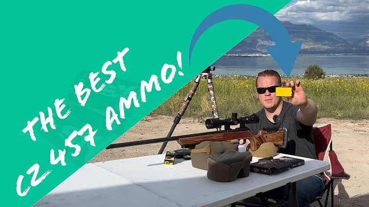 THIS 22LR Ammo ALWAYS Works With The CZ 457 | Ultra Accurate 22LR On A Budget