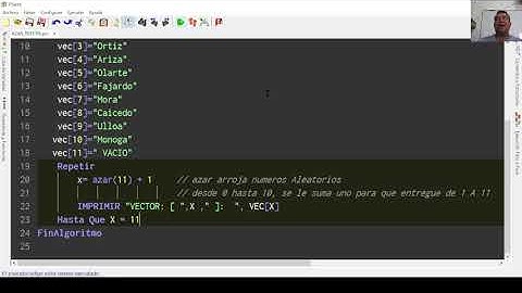 PSEint # 14 1 AZAR VECTOR