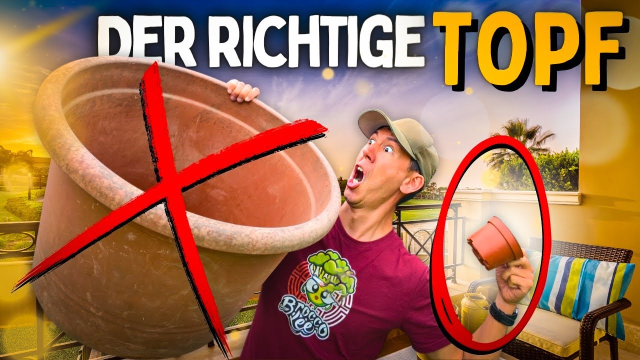 Darauf musst du achten 😨 dieser TOPF passt zu dir! Anzucht und Anbau für Anfänger